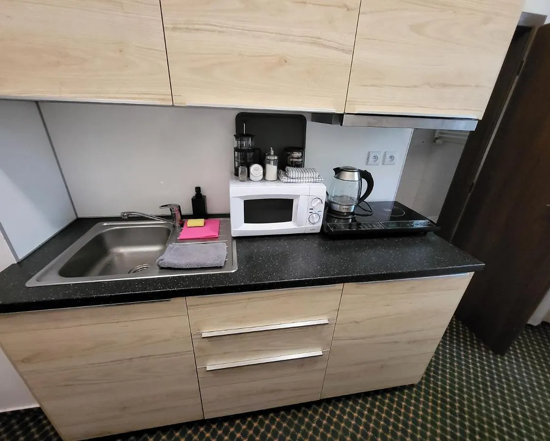 Excellent Apartments In Spa City Center 5 Min Walk From The Colonnade Κάρλοβι Βάρι 0*,
